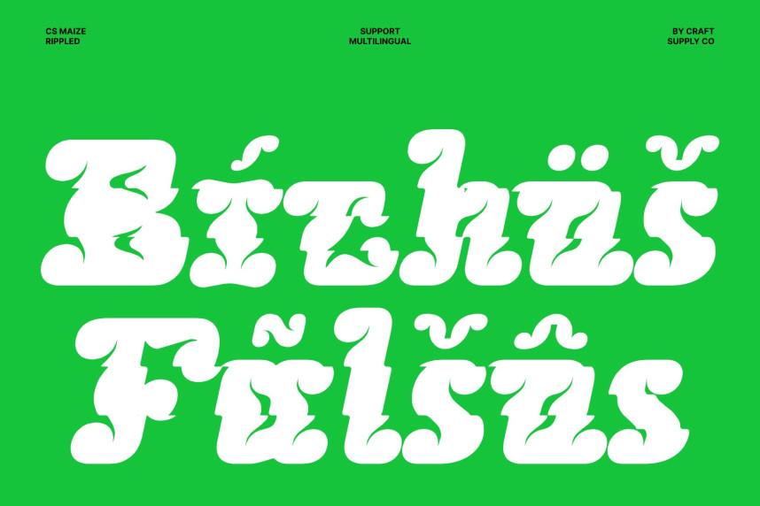 CS Maize Rippled Font preview image 4