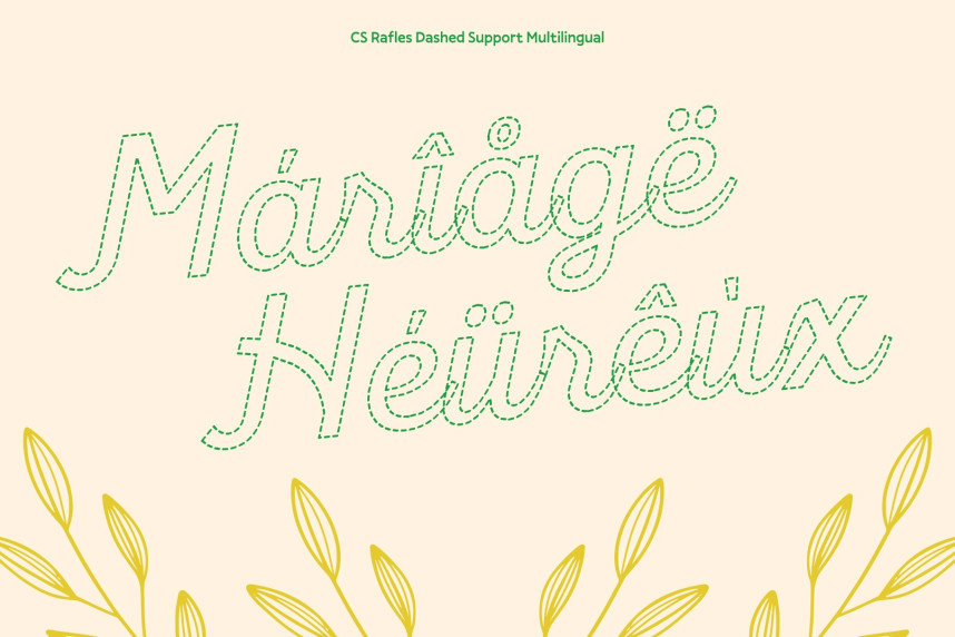 CS Rafles Dashed Font preview image 4