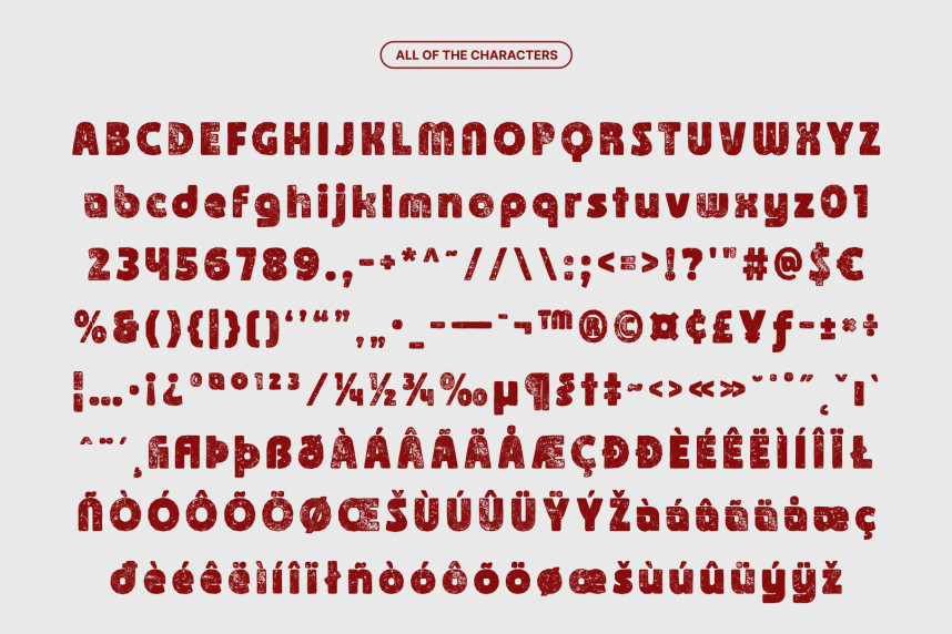 CS Ragout Stamp Font preview image 5