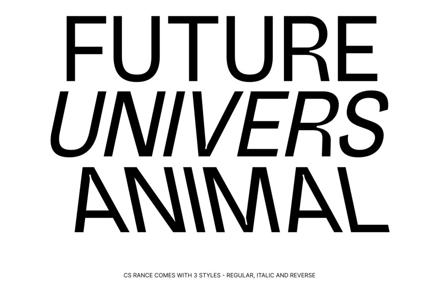 CS Rance Font preview image 2