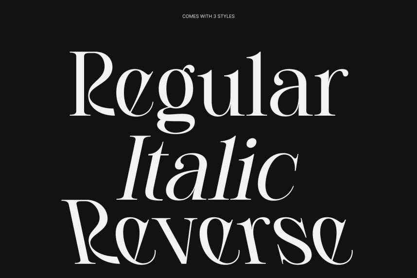 CS Rasika Font preview image 3