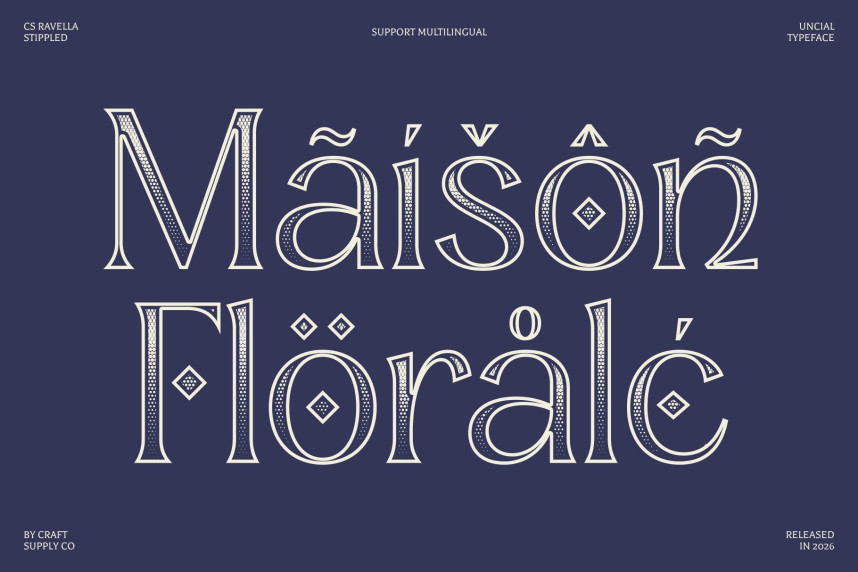 CS Ravella Stippled Font preview image 4