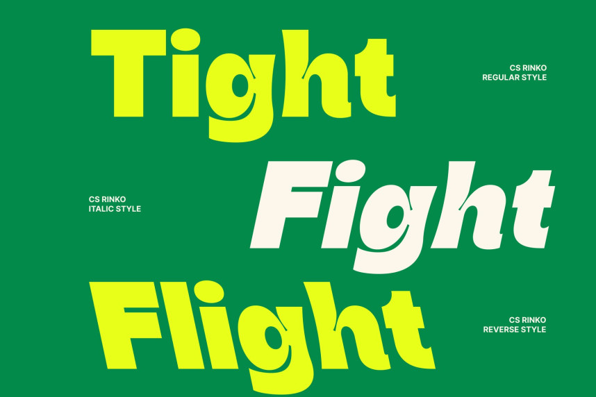 CS Rinko Font preview image 3