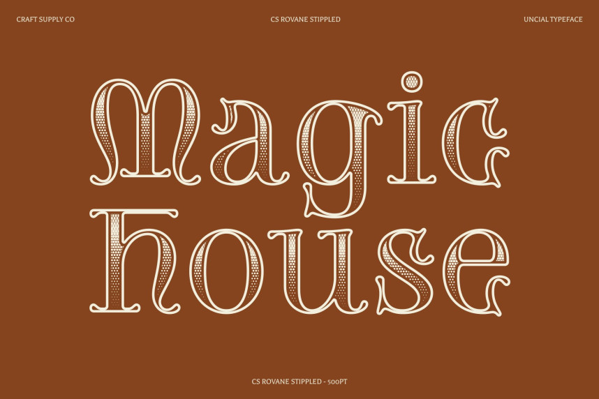 CS Rovane Stippled Font preview image 2