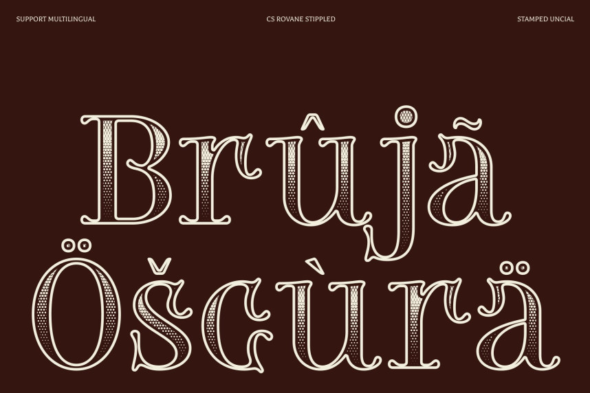 CS Rovane Stippled Font preview image 4