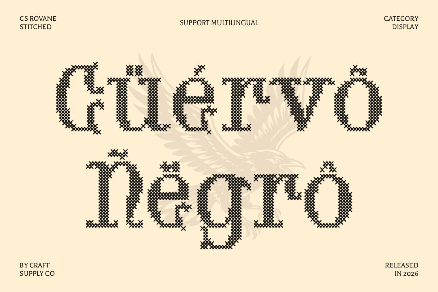 CS Rovane Stitched Font preview image 4