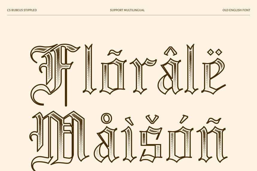 CS Rubeus Stippled Font preview image 4