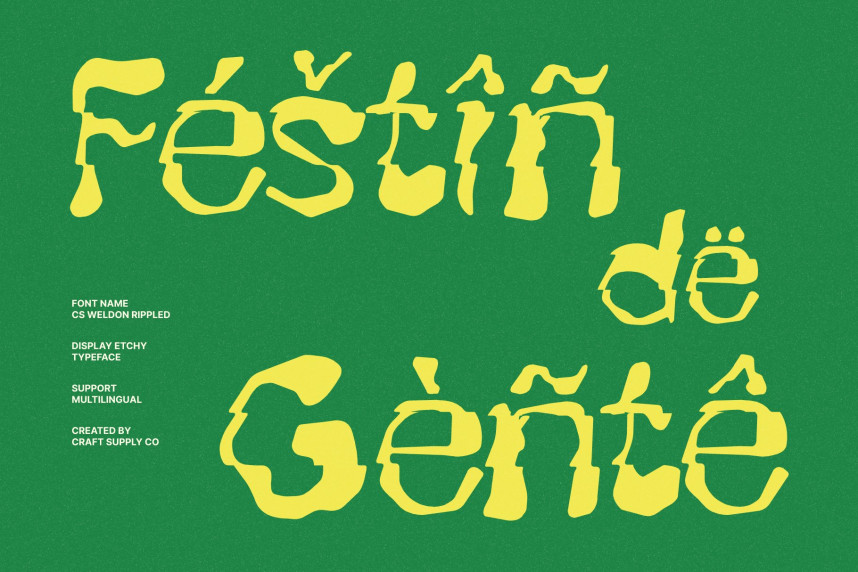 CS Weldon Rippled Font preview image 4