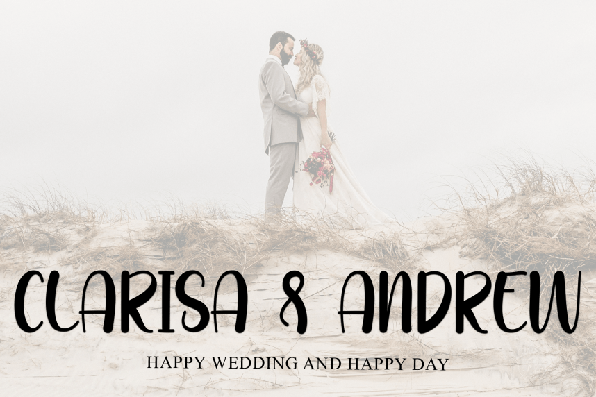 Designer Display Script Font preview image 2