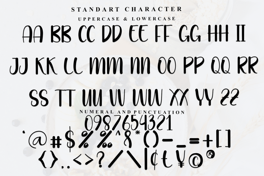 Designer Display Script Font preview image 4