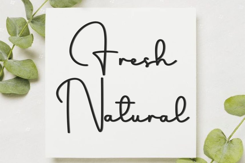 Fatality Handwritten Font preview image 4