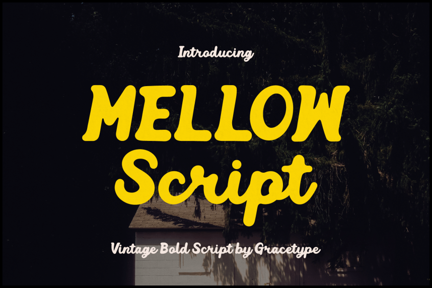 Mellow Script | Vintage Bold Script Font