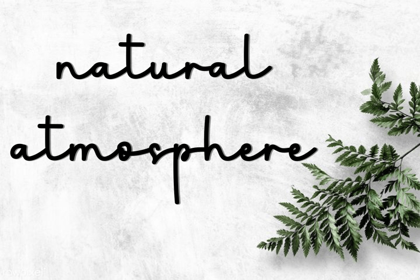 Stanting Handwritten Font preview image 5