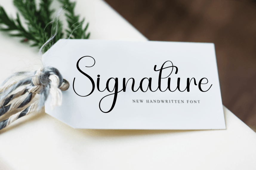 Study Events Script Font preview image 4