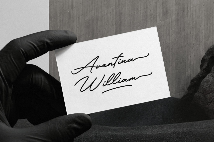 Libertian Signature Font preview image 2
