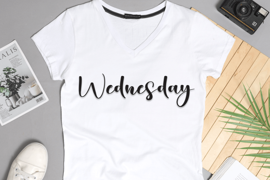 Bestia Calligraphy Script Font preview image 4