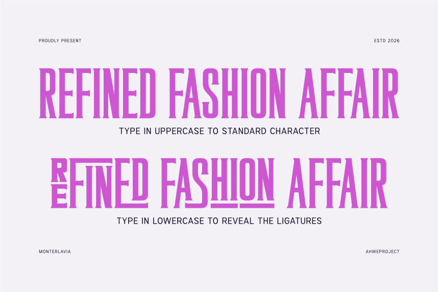 Monterlavia Demo Font preview image 4
