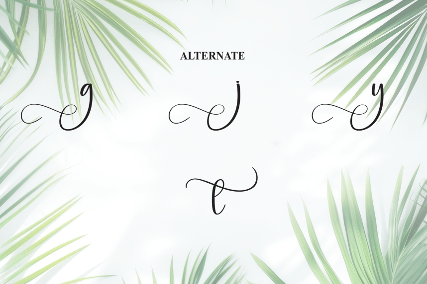 Misterday Calligraphy Font preview image 5