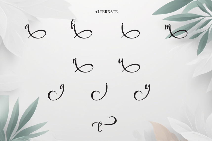 Saturday Calligraphy Script Font preview image 5