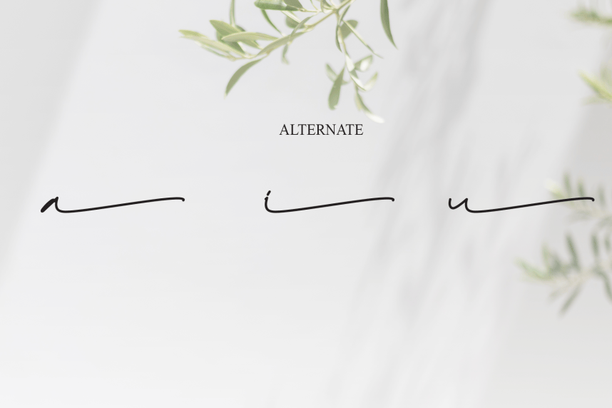 Agatha Handwritten Font preview image 5