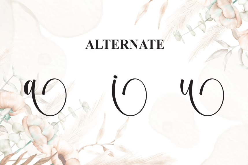 Delisha Calligraphy Script Font preview image 5