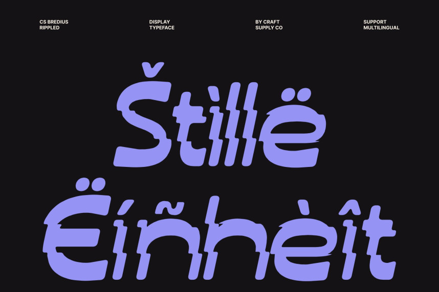 CS Bredius Rippled Font preview image 4