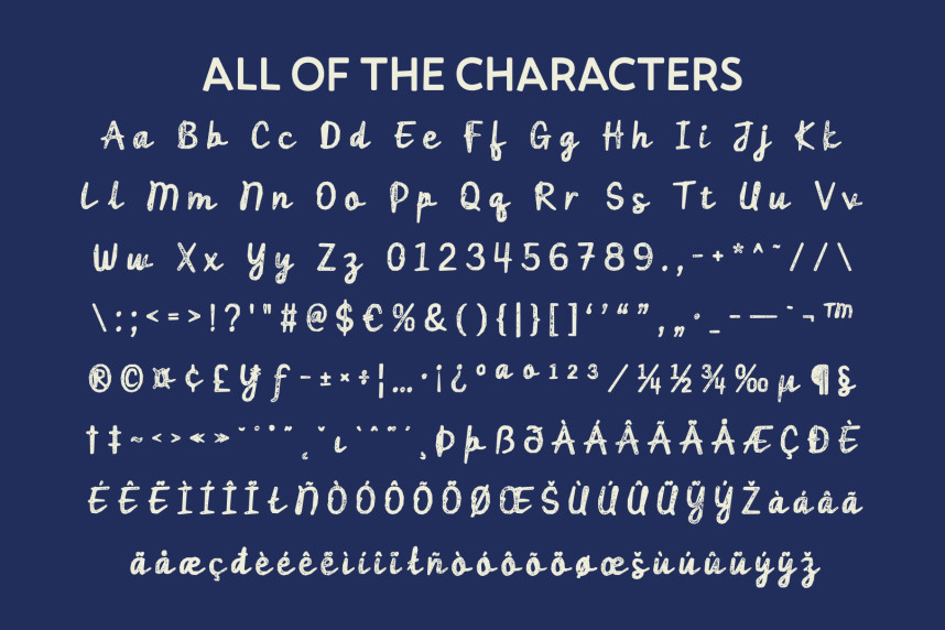 CS Ricotta Stamp Font preview image 5
