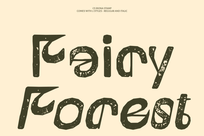 CS Riona Stamp Font preview image 3