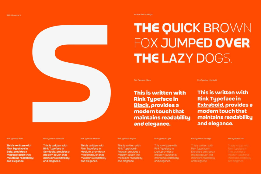 Robout – Rigit Sans 9 Fonts preview image 2