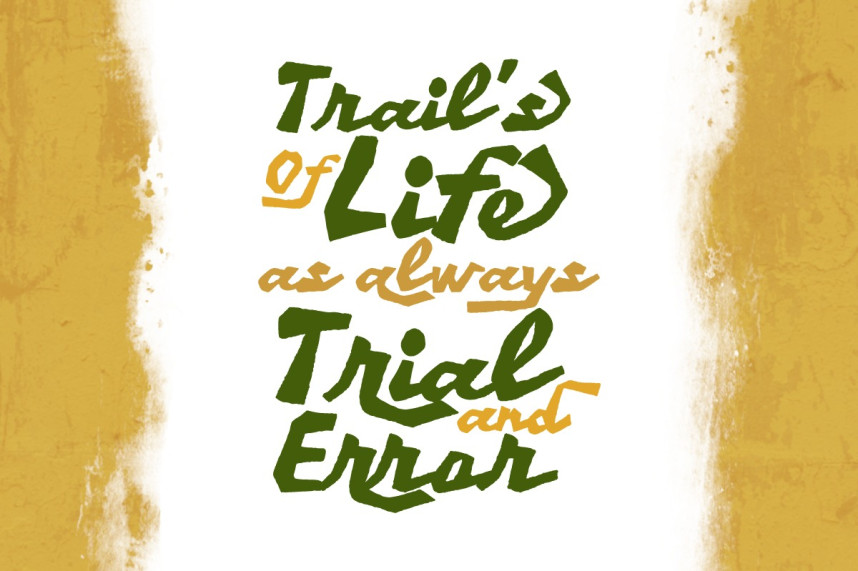 Shady Rocks Handcrafted Display Font preview image 2