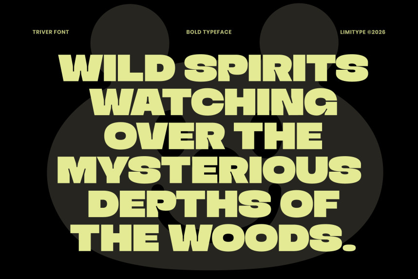 Triver – Bold Inktrap Font preview image 2