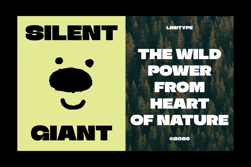 Triver – Bold Inktrap Font preview image 4