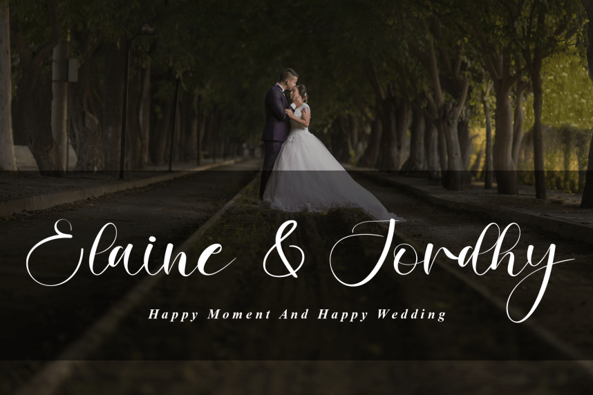 Nature Calligraphy Script Font preview image 2