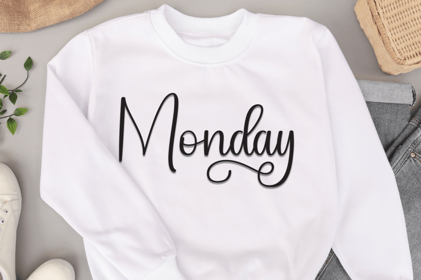 Spring Modern Script Font preview image 2