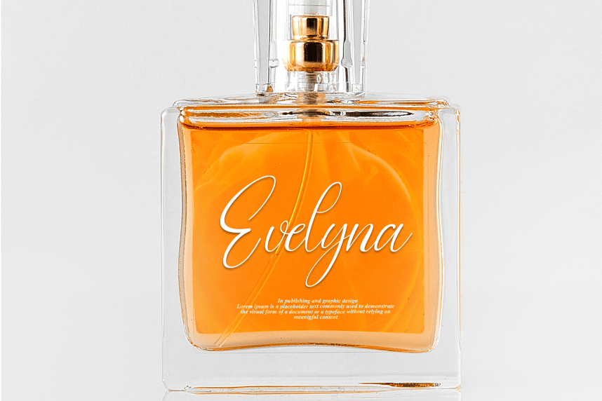 Signature Modern Script Font preview image 2