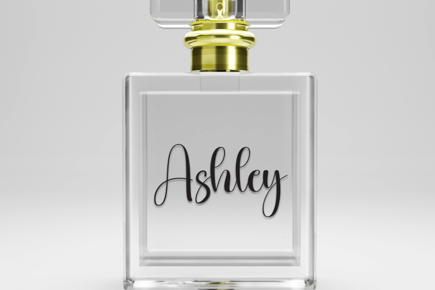Hollyberry Script Font preview image 2