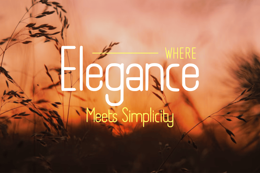 Boyanda – Modern Organic Display Font preview image 2