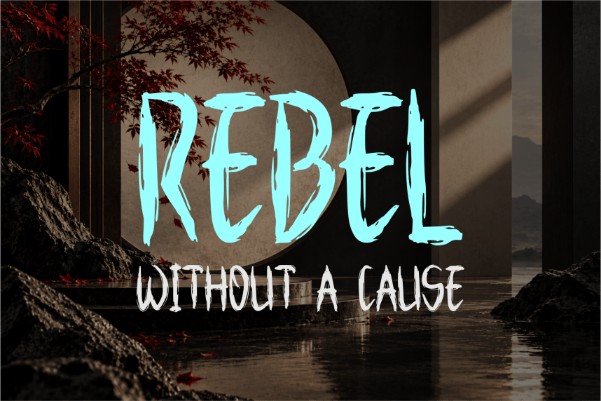 DRAZEL — Distressed Brush Font preview image 3