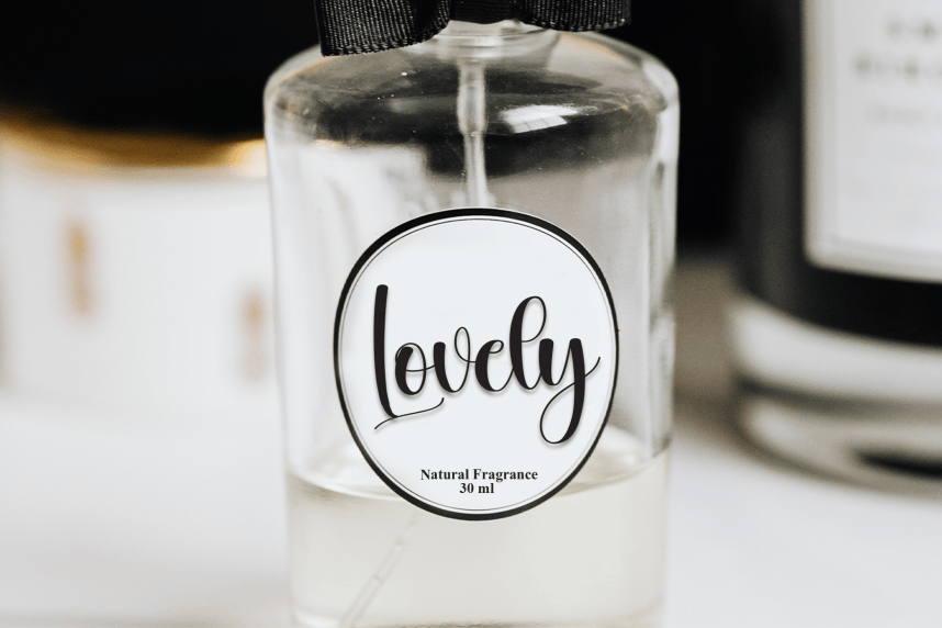 Vintage Calligraphy Script Font preview image 4