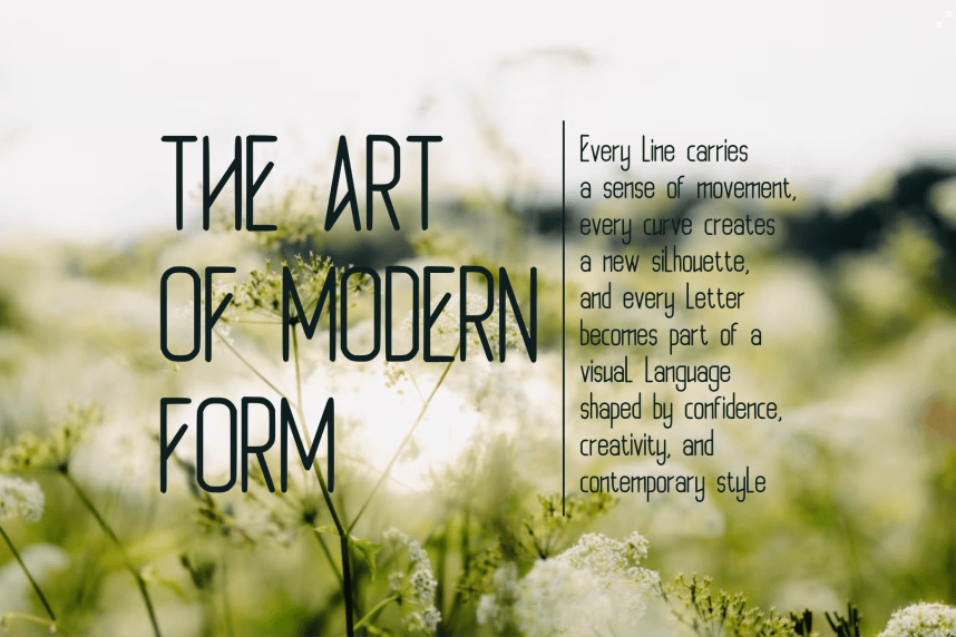 VELMIQURA — Modern Experimental Typeface preview image 4