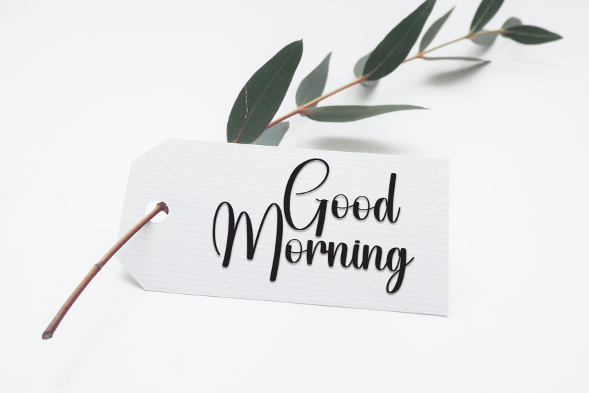 Harmony Calligraphy Script Font preview image 4