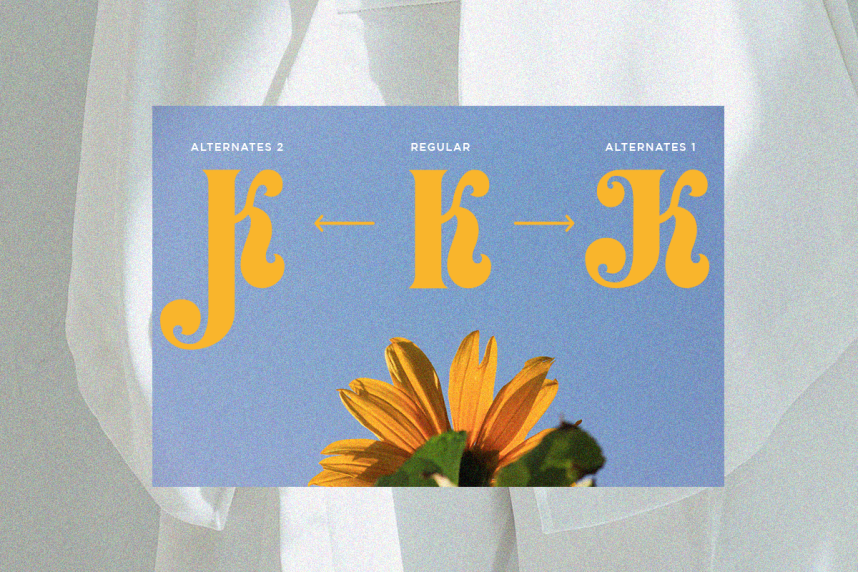 Lemonade Fresh Font preview image 4