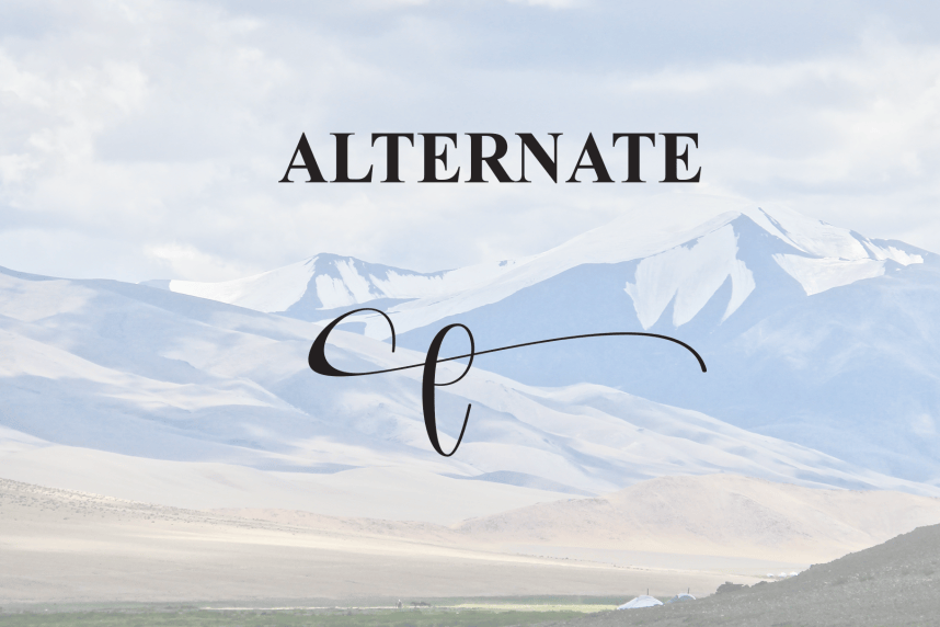 Southine Calligraphy Script Font preview image 5