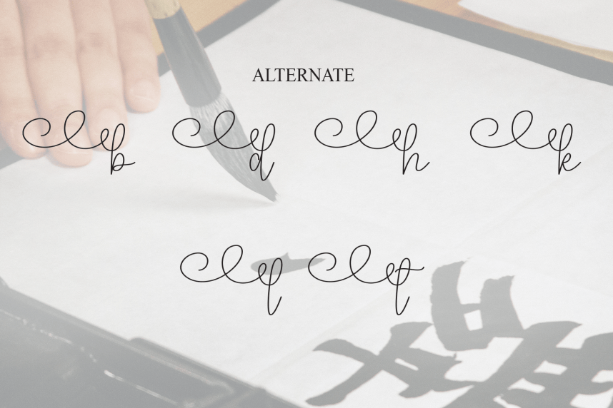 Calligraphy Handwritten Script Font preview image 5