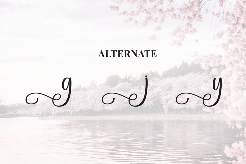 Spring Modern Script Font preview image 5