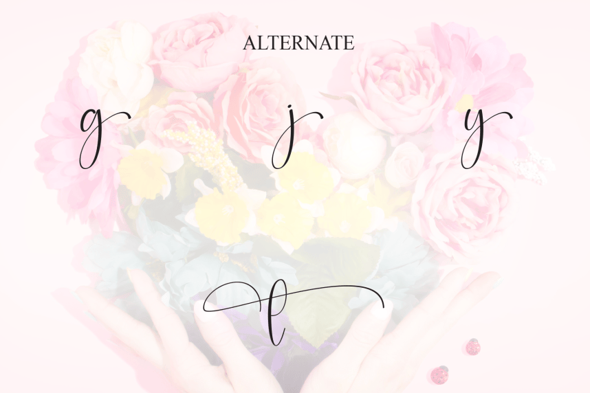 Beautyday Calligraphy Script Font preview image 5