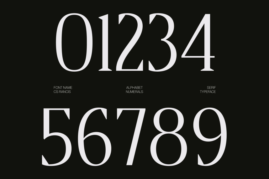 CS Rancis Font preview image 4