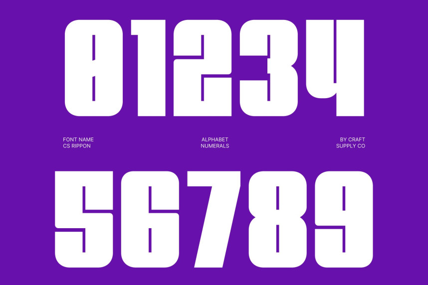 CS Rippon Font preview image 3
