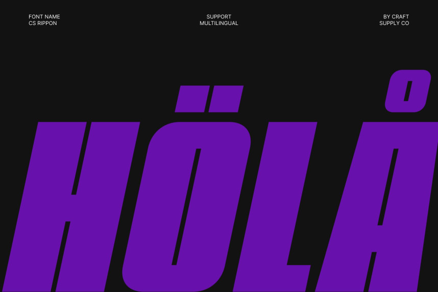 CS Rippon Font preview image 4