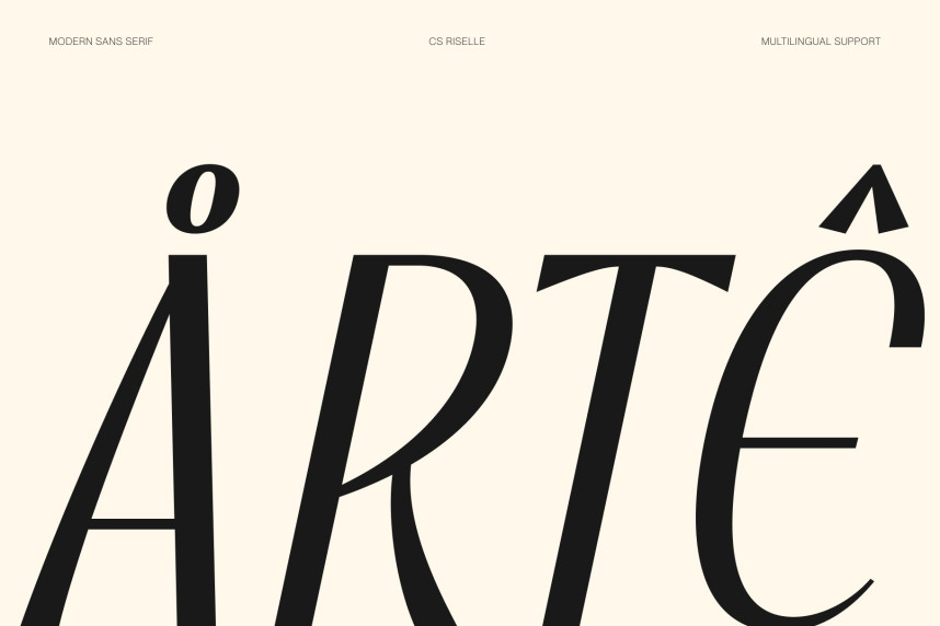 CS Riselle Font preview image 4